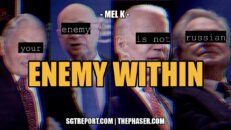 THE ENEMY WITHIN | Mel K - SGT Report, The Corporate Propaganda Antidote