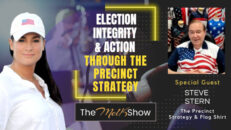 Mel K & Steve Stern | Election Integrity & Action Through the Precinct Strategy