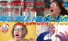 So Now It’s OUR Fault??? Peak Clown World on Red Pill News Live - RedPill78