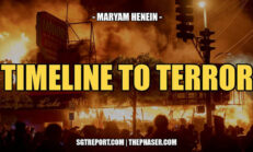 TIMELINE TO TERROR | Maryam Henein - SGT Report, The Corporate Proganda Andidote