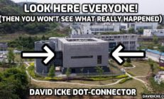 Look Here Everyone! (Then You Won't See What Really Happened) - David Icke
