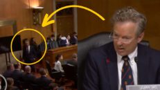Rand Paul WALKS OUT of Hearing After BLASTING Democrat Chairman