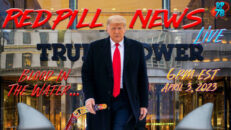 The Sharks Circle NY As POTUS Prepares to Surrender on Red Pill News Live - RedPill78