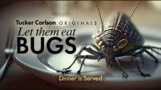 Tucker Carlson Originals - Let Them Eat Bugs