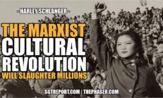 THE AMERICAN MARXIST CULTURAL REVOLUTION WILL SLAUGHTER MILLIONS - SGT Report