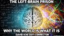 The Left-Brain Prison. Why The World Is What It Is - David Icke