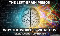 The Left-Brain Prison. Why The World Is What It Is - David Icke