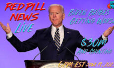 Biden Crime Family Under Daily Increased Scrutiny on Red Pill News - RedPill78